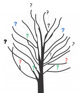tree with question marks