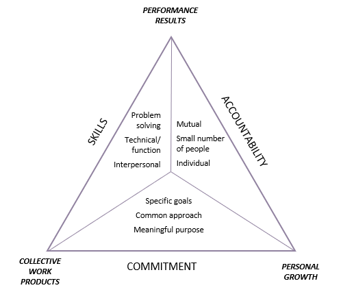 katzenbach and smith team basics triangle model