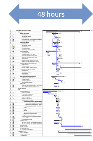 very long Gantt chart