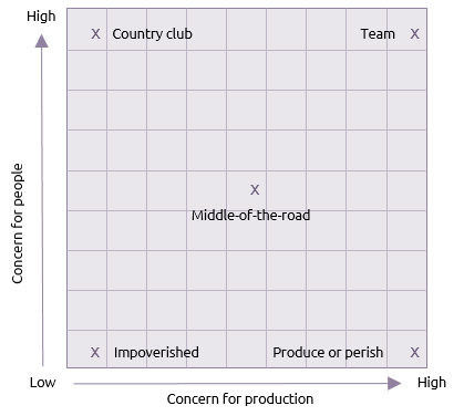 blake and mouton managerial grid questionnaire blake and mouton managerial grid questionnaire