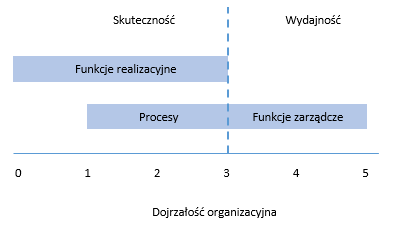 Efficiency and effectiveness - Polish