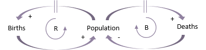 Combined population causal loops