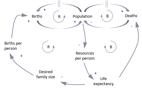 Detailed population based causal loop diagram
