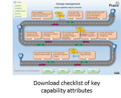 Capability maturity checklist assessment for project change management