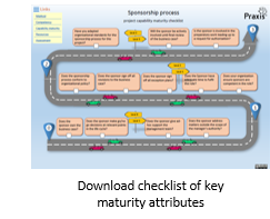 Capability maturity checklist assessment for project identification process