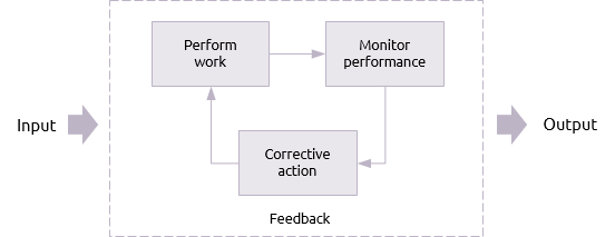 First order cybernetic control