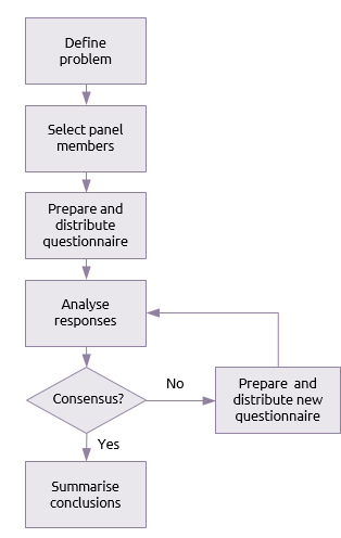 Delphi process