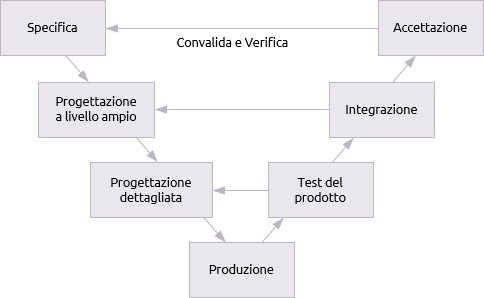 V life cycle