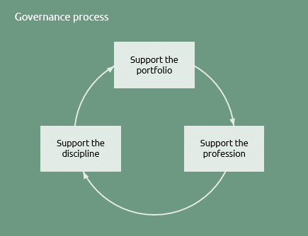 Portfolio governance process