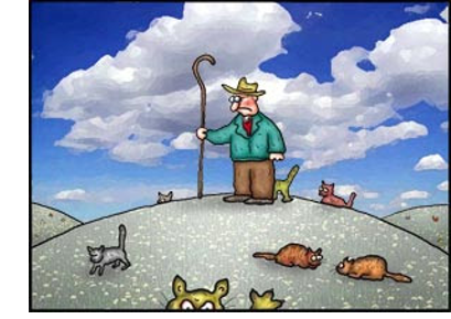 Herding Cats Idiom: Definition, Use, and History