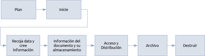 El procedimiento de gestión de la información para proyectos, programas y carteras.