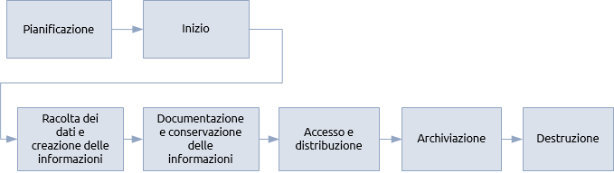 La procedura di gestione delle informazioni per progetti, programmi e portafogli