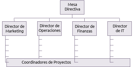 Matriz Débil