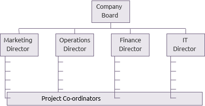 Weak matrix organisation