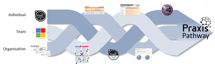 Praxis Pathway infographic