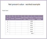 Net present value - blank template