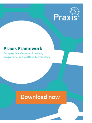 Praxis Framework Comparative Glossary